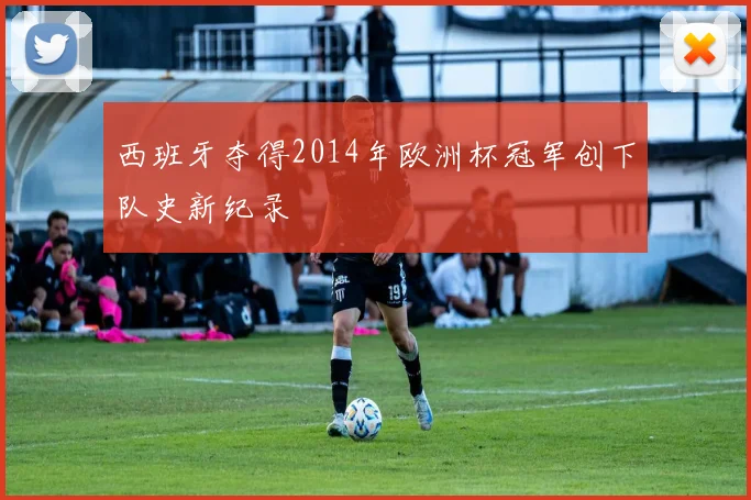 西班牙夺得2014年欧洲杯冠军创下队史新纪录
